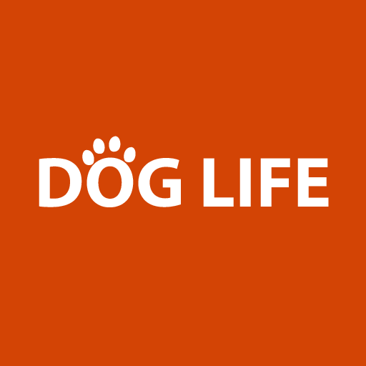 Dog Life simulator