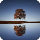Lake Wallpaper APK