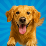 APK Pocket Paws: My lovely dogs