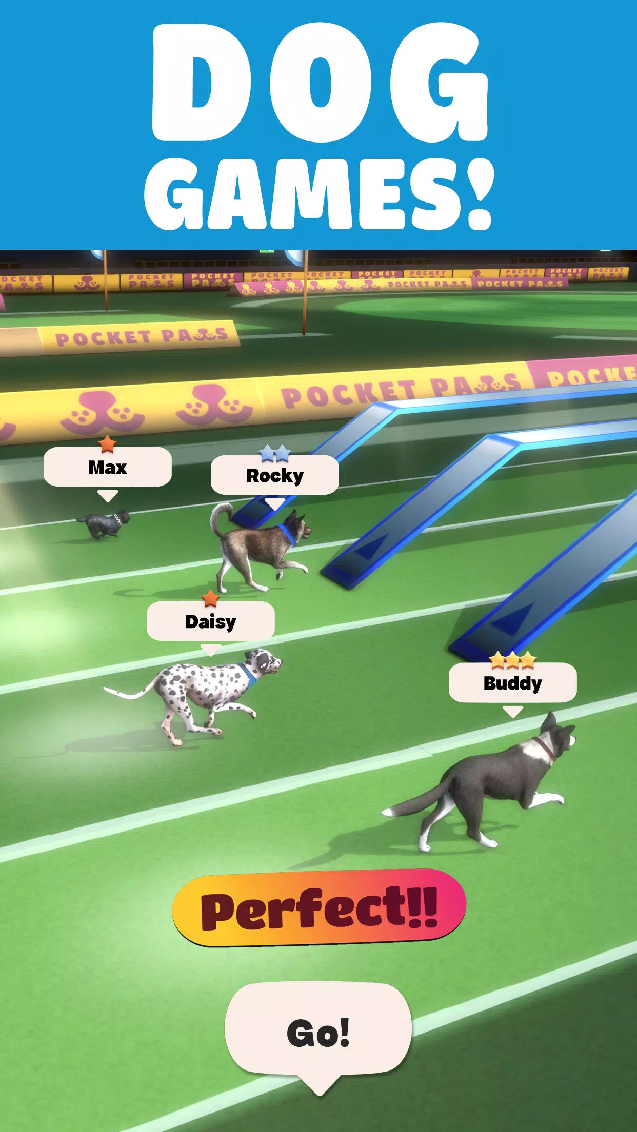 Pocket Paws: My lovely dogs