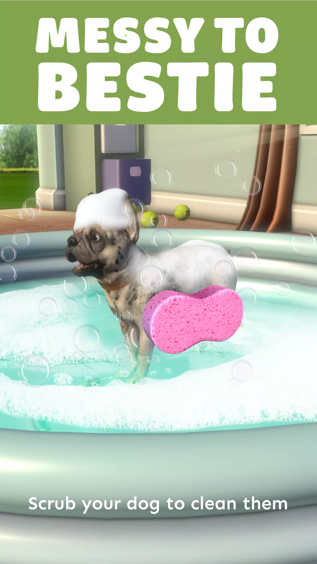 Pocket Paws: My lovely dogs