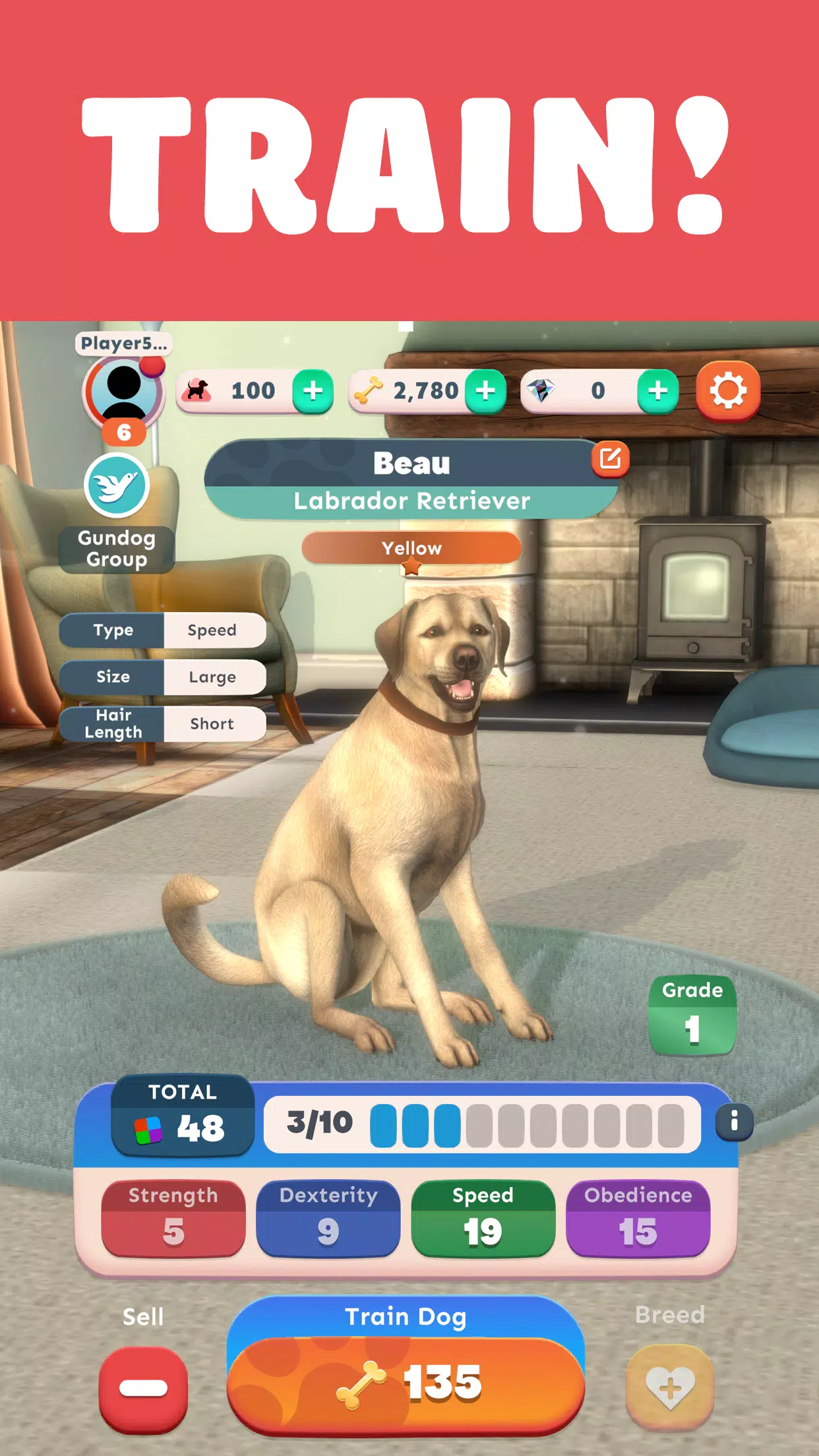 Pocket Paws: My lovely dogs