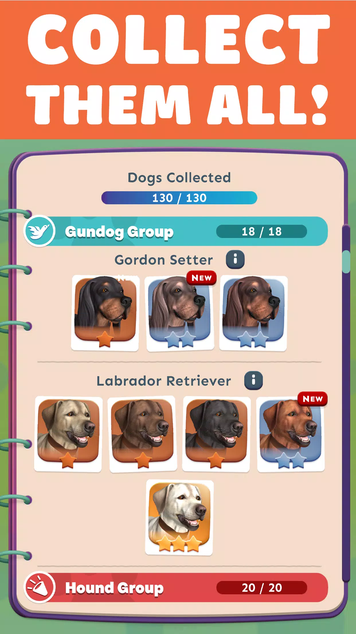 Pocket Paws: My lovely dogs