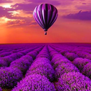 Landscape wallpaper aplikacja