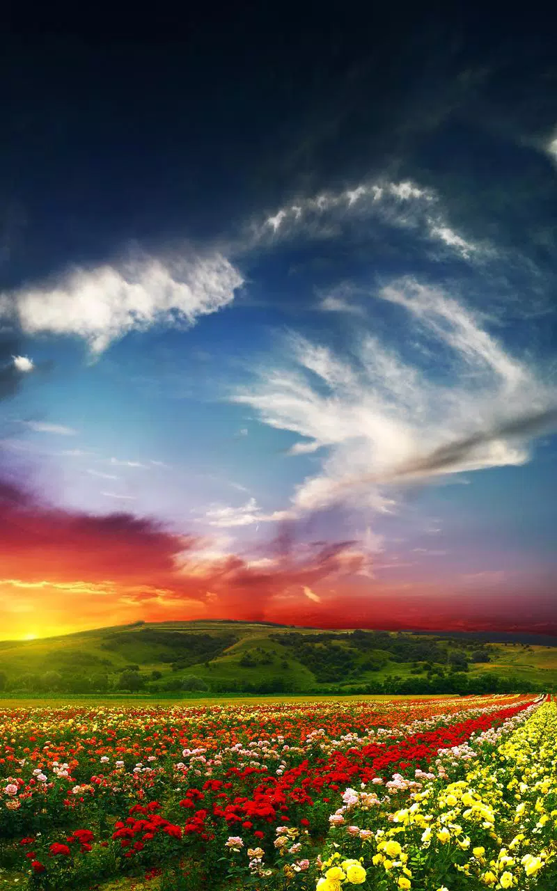 Android向けの風景ライブ壁紙 Apkをダウンロードしましょう