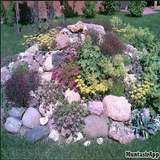Landscaping Ideas icon