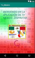 Mexico TV HD : Live and Replay पोस्टर