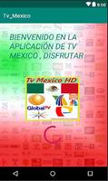 Mexico TV HD : Live and Replay poster