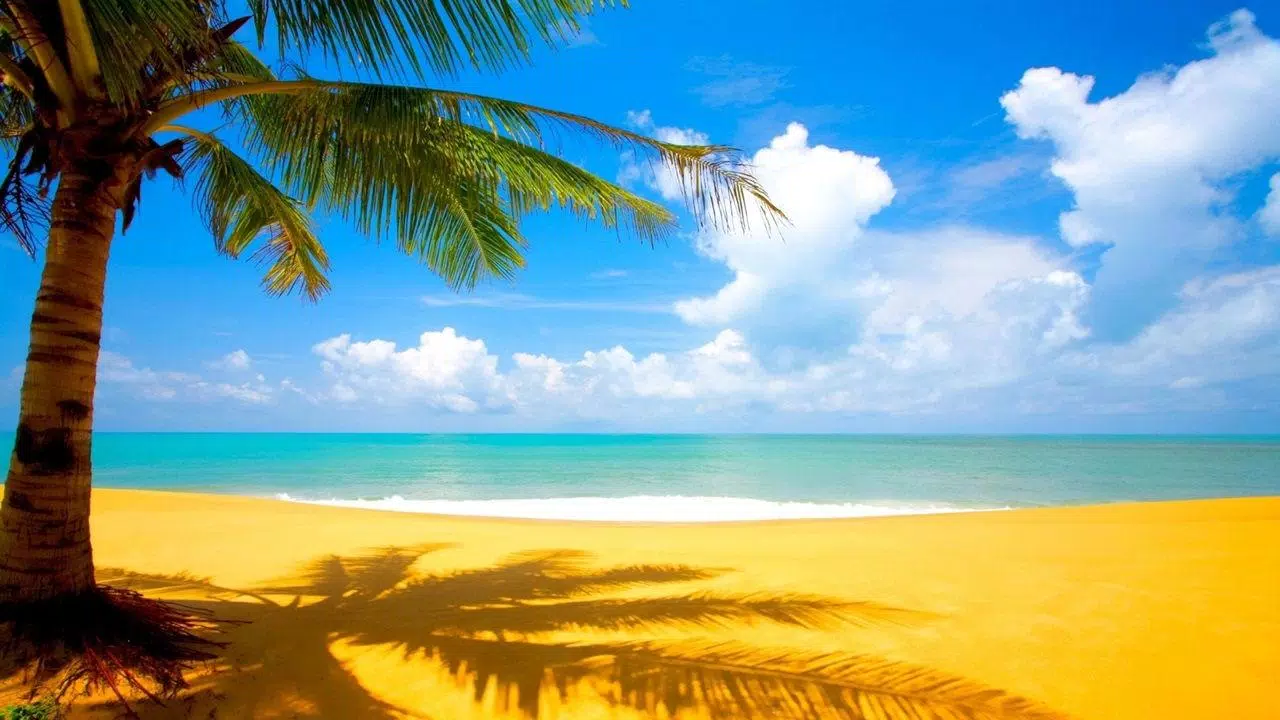 Android 用の Hawaii Beach Wallpaper Apk をダウンロード