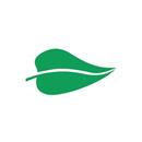 Leafwords APK