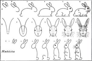 Learn Draw Step By Step screenshot 3