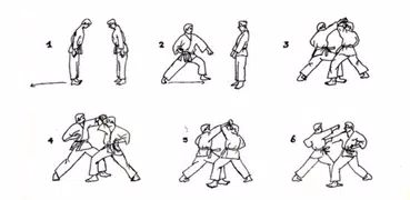 Learn Karate Martial Technique