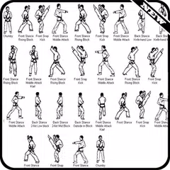 Learn Karate Martial Technique