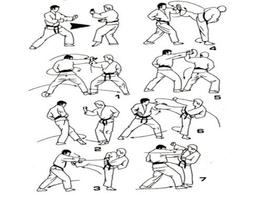Apprendre la technique martiale de karaté capture d'écran 3