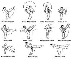 Apprendre la technique martiale de karaté Affiche