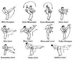 Learn Karate Martial Technique poster