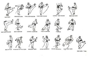 học võ karate ảnh chụp màn hình 1