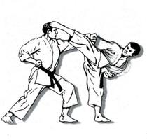 học võ karate ảnh chụp màn hình 2