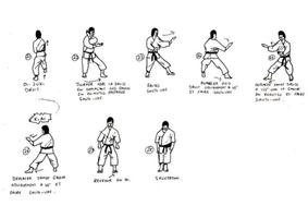 học võ karate ảnh chụp màn hình 3