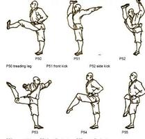 Lernen Sie Kung Fu für Anfänger Plakat