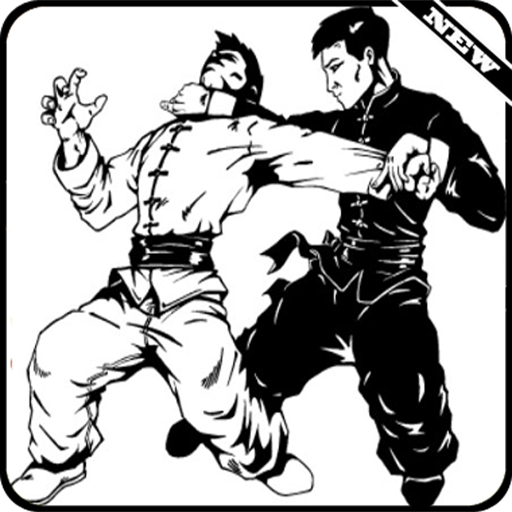 Aprenda técnicas de Kung Fu