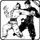Aprenda técnicas de Kung Fu APK