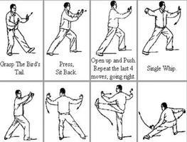 Poster Impara le tecniche del Kung Fu