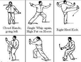 1 Schermata Impara le tecniche del Kung Fu