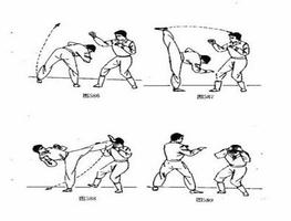 2 Schermata Impara le tecniche del Kung Fu