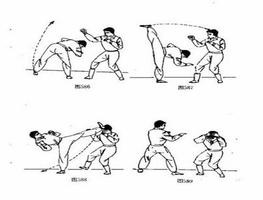 Learn Kung Fu Techniques screenshot 2