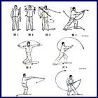 apprendre les techniques de kungfu icône