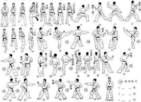 apprendre les techniques de kungfu Affiche