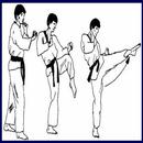 apprendre les techniques d'arts martiaux APK
