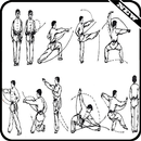 Aprenda técnicas de artes marciais APK