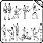 Apprendre les techniques d'arts martiaux icône