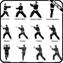 Learn Pencak Silat Techniques APK download