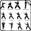 Apprenez les techniques de pencak silat APK