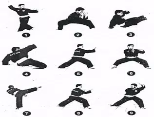 Learn Pencak Silat Techniques APK download