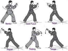 Apprenez les techniques de pencak silat capture d'écran 1