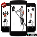 💗 Learn To Build Muscle 💗 APK