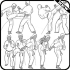 Learn Taekwondo Techniques Easily icon