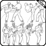 Learn Taekwondo Techniques Easily icon