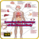 Apprendre la structure du corps humain APK