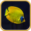 Kid Word & Quiz | Fish Reptile