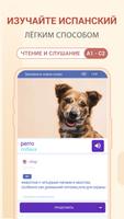 Выучить Испанский Язык Легко постер