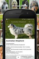 Identificador de raça de cão com imagens imagem de tela 1