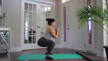 Brazilian Glutes Workout الملصق