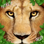 1080p,4K Animals Wallpaper 2021