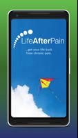 Life After Pain 海報