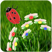 Ringi APK